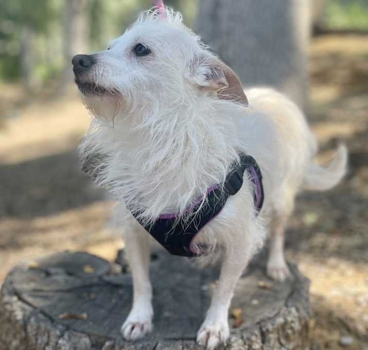 Photo of Gigi