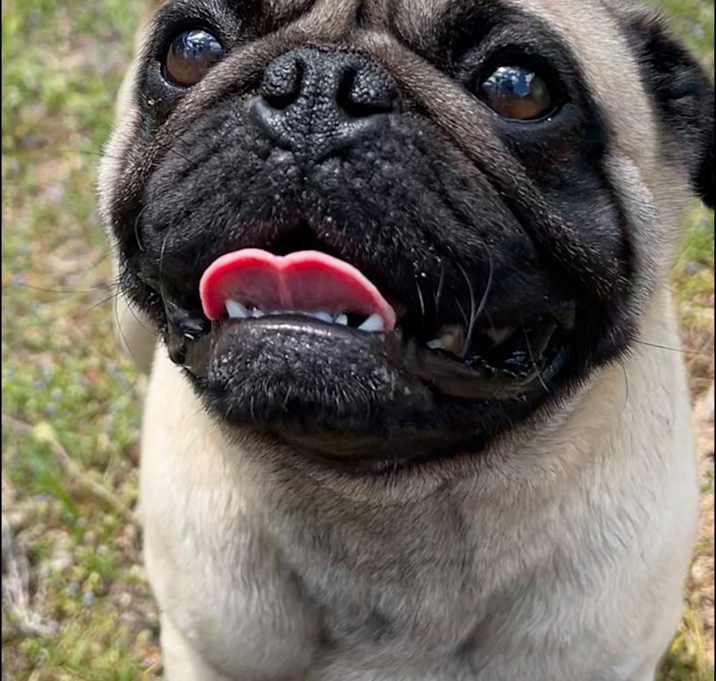 Photo of Oliver