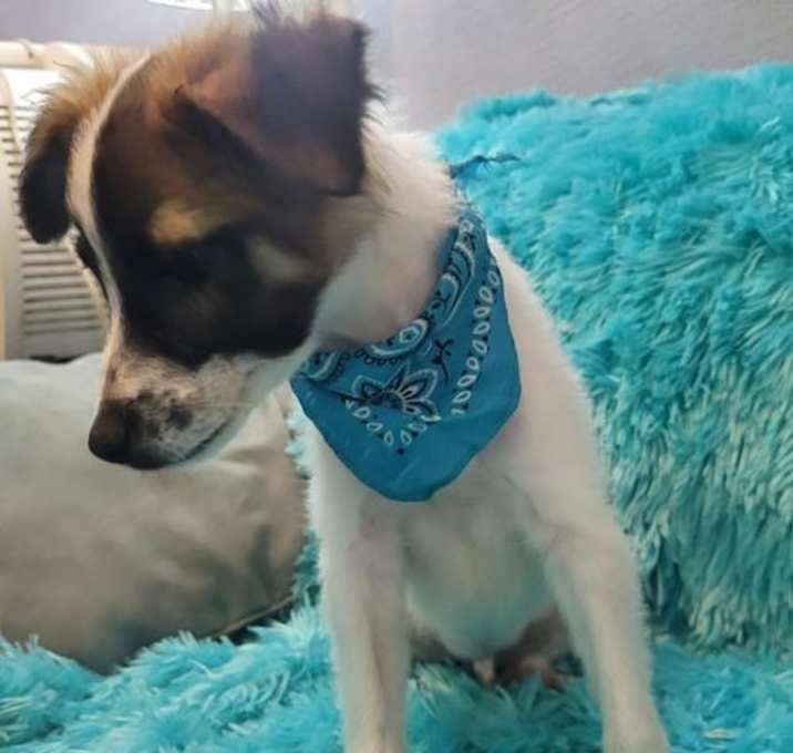 Photo of Remi