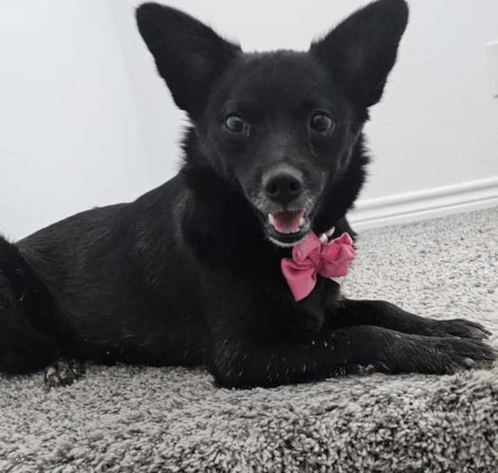 Photo of Darla