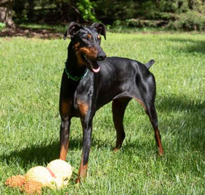 Photo of TARIFF