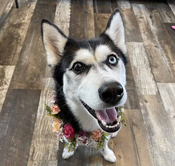Photo of Nyla
