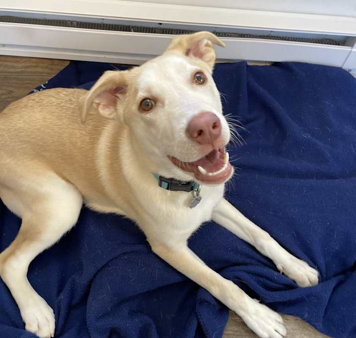 Photo of Lenny