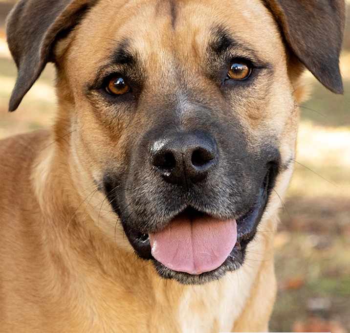 Photo of Josie