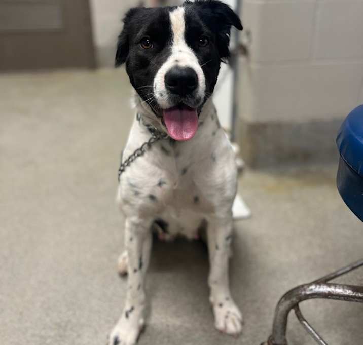 Photo of Delilah