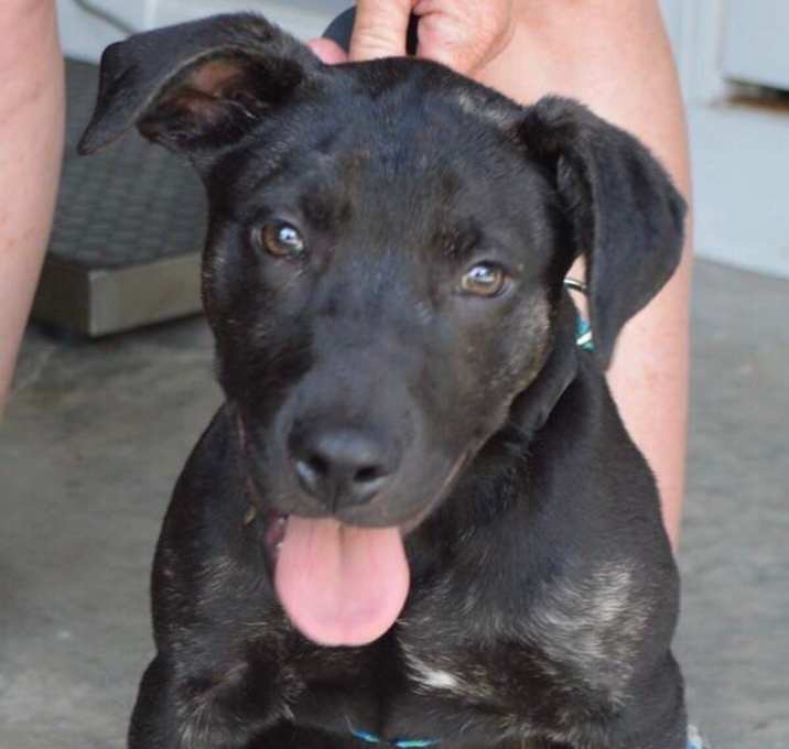 Photo of SPROUT/URGENT