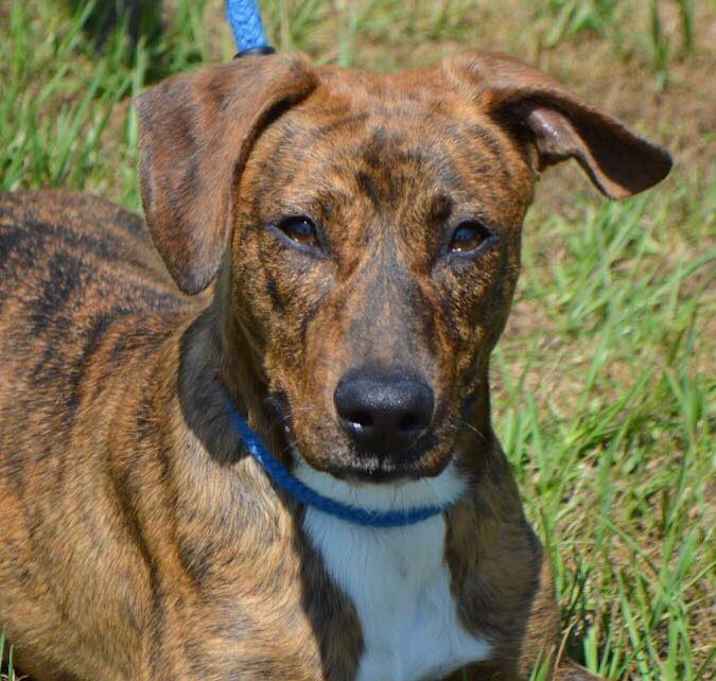 Photo of WINSLEY/URGENT