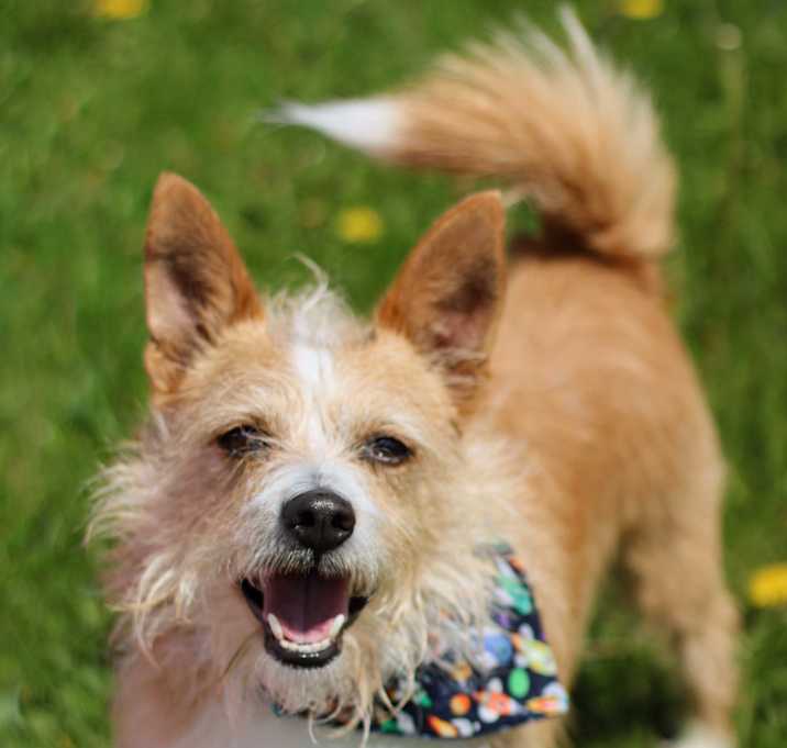 Photo of Rocket