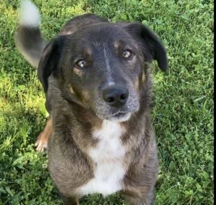 Photo of Puddles