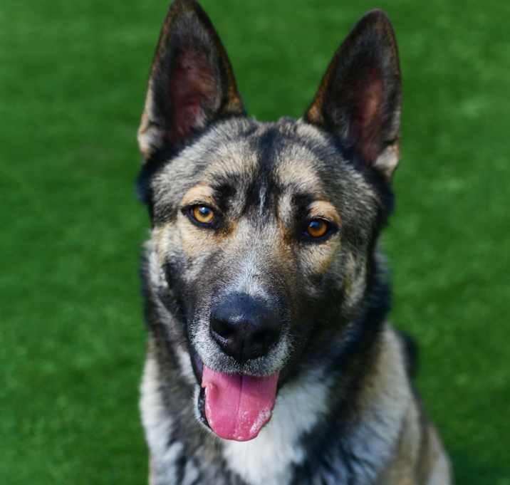 Photo of Ben