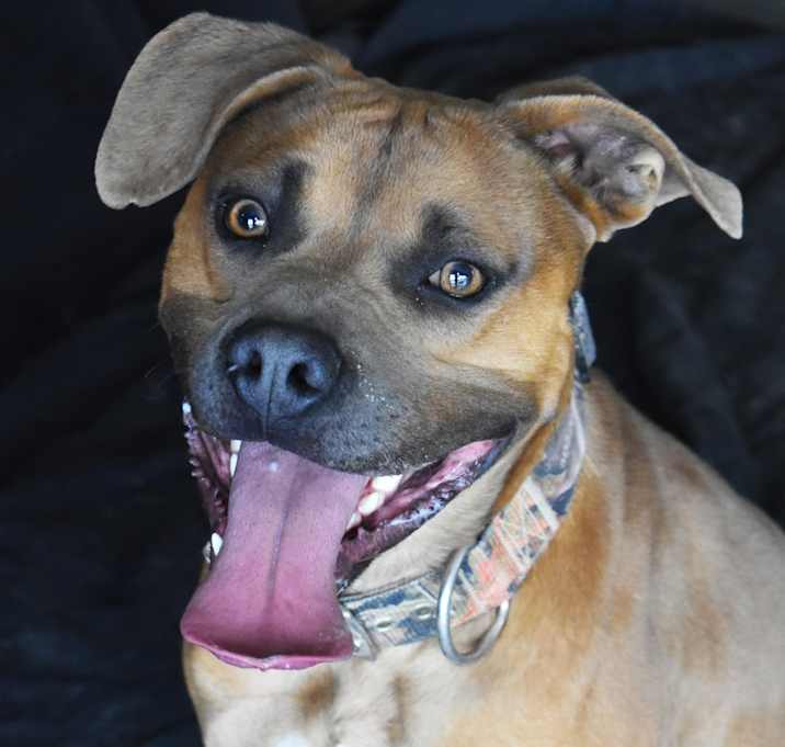 Photo of Duka