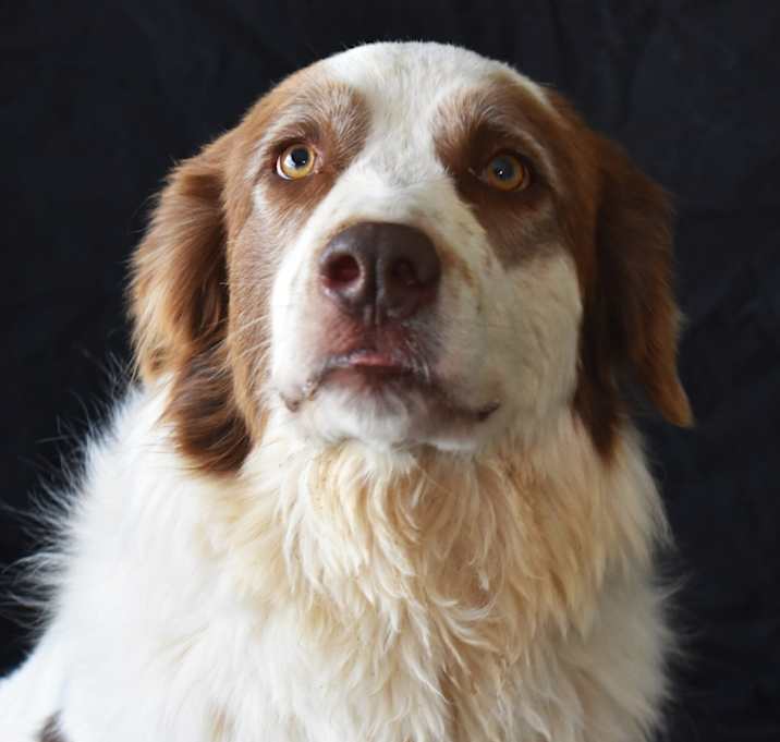 Photo of Big Theo