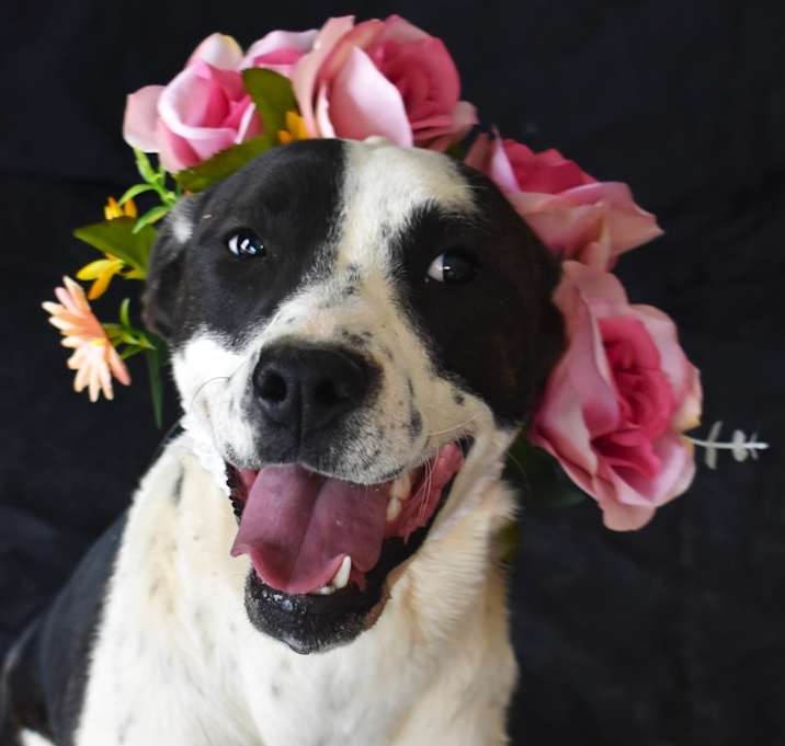 Photo of Jody