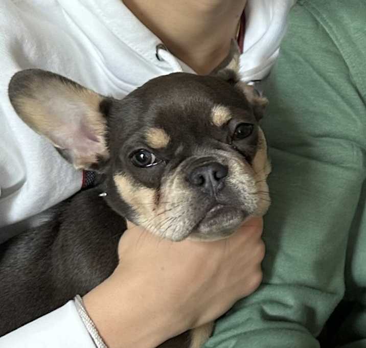 Photo of Drako