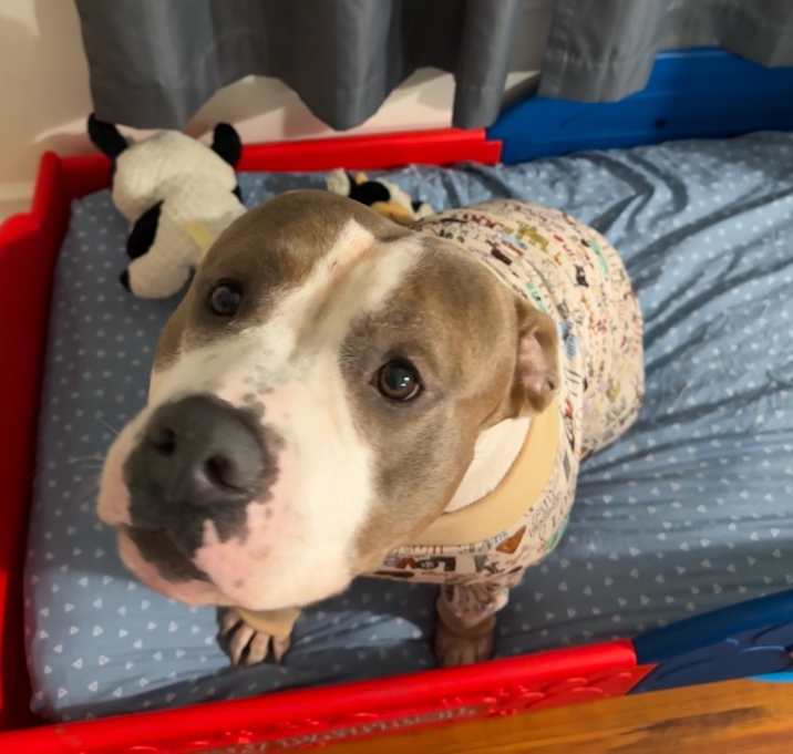 Photo of Max