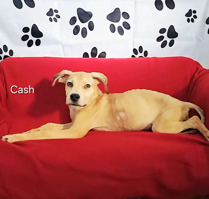 Photo of Cash