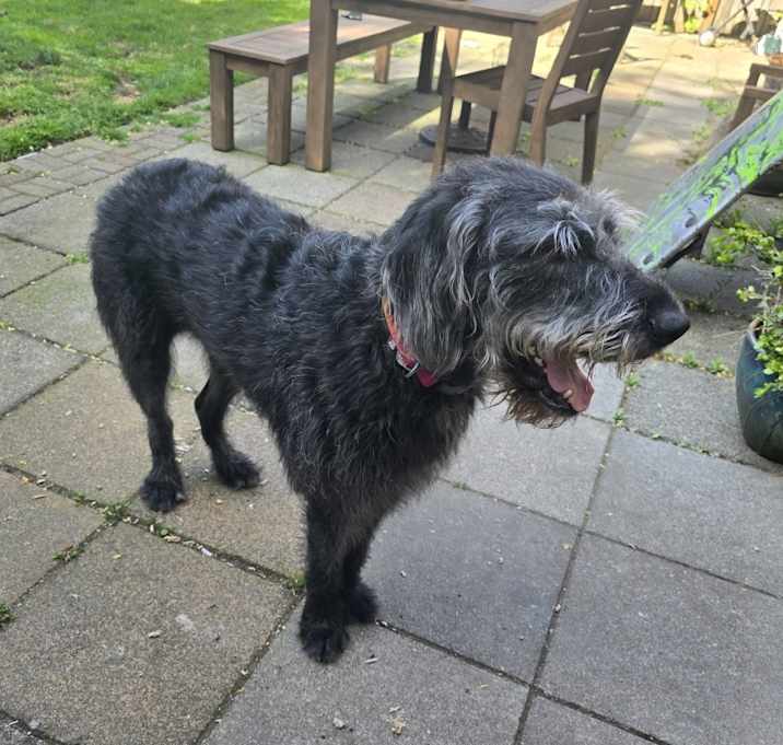 Photo of Kiki