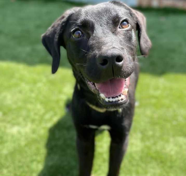 Photo of Jack