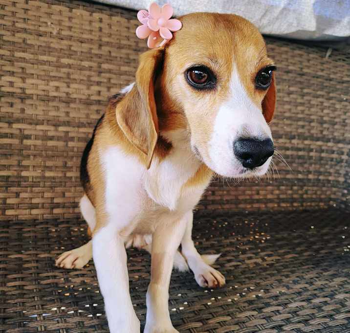 Photo of AYLA