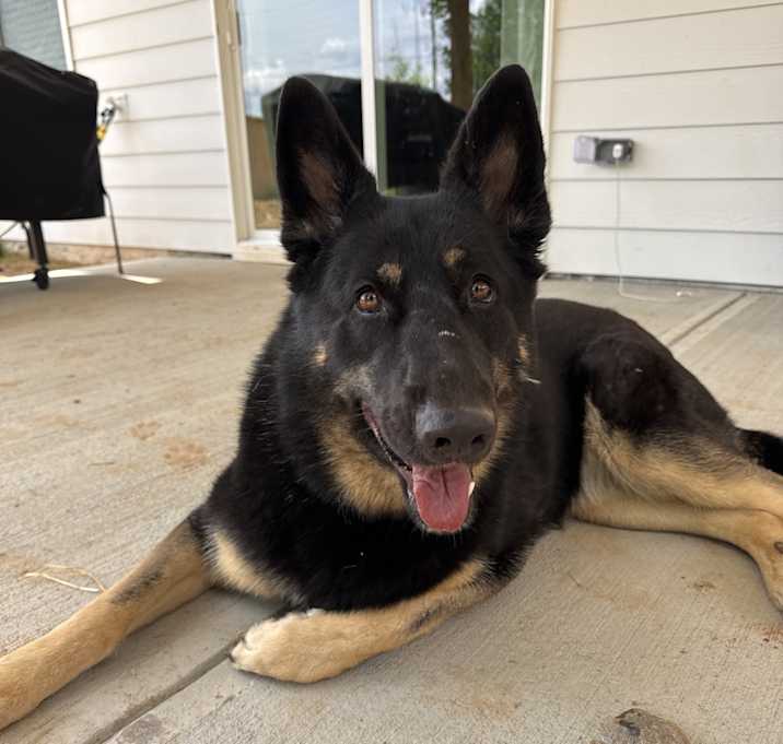 Photo of Vesper