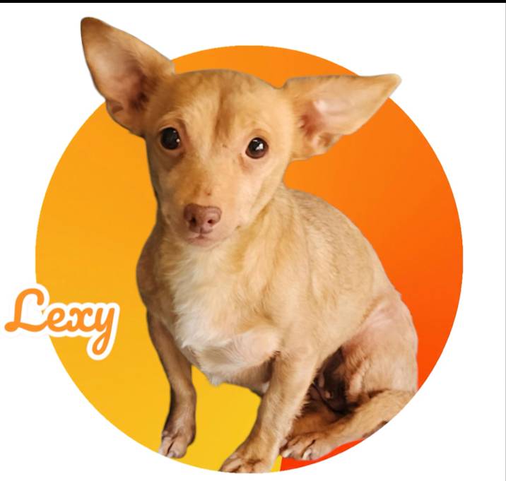 Photo of Lexi