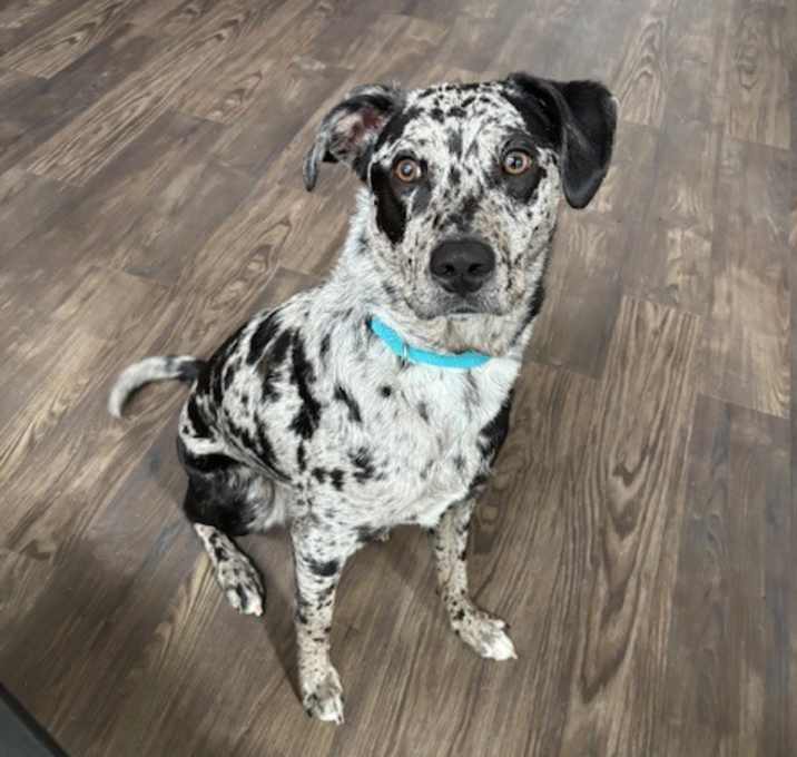 Photo of Ciri