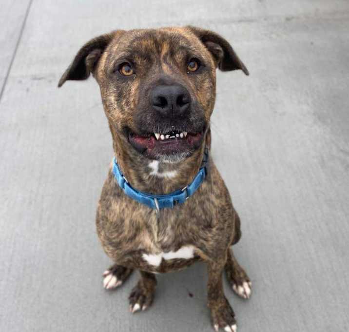 Photo of Bogey