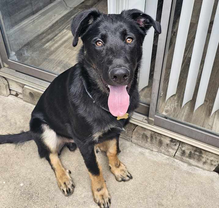 Photo of Kaiser