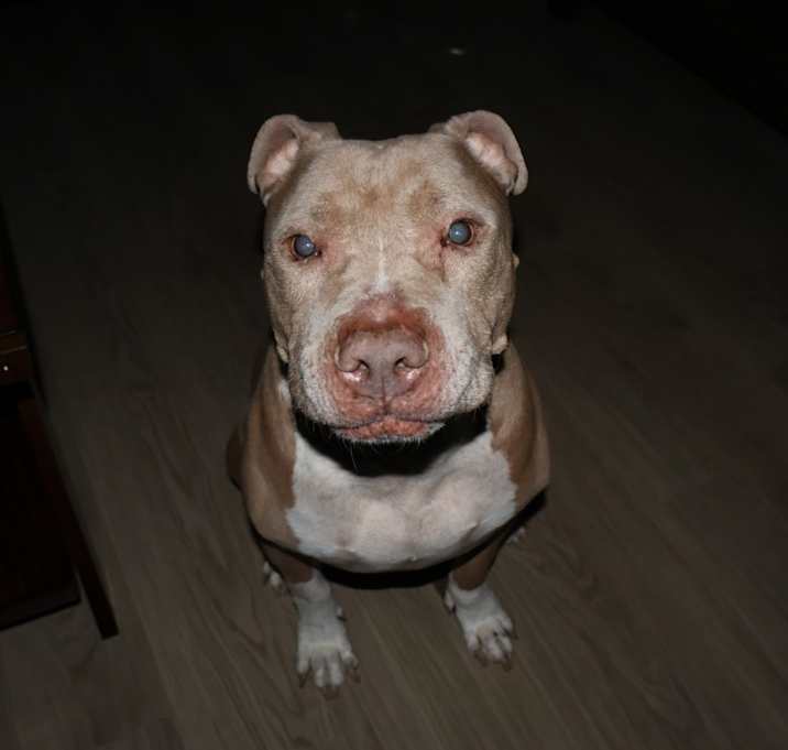 Photo of Zeus