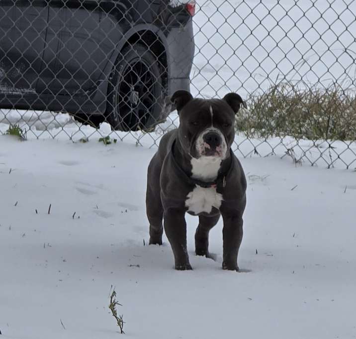 Photo of Tank