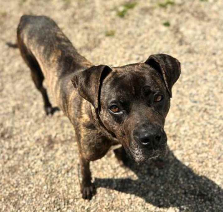 Photo of Maisy