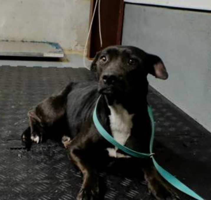 Photo of Maude