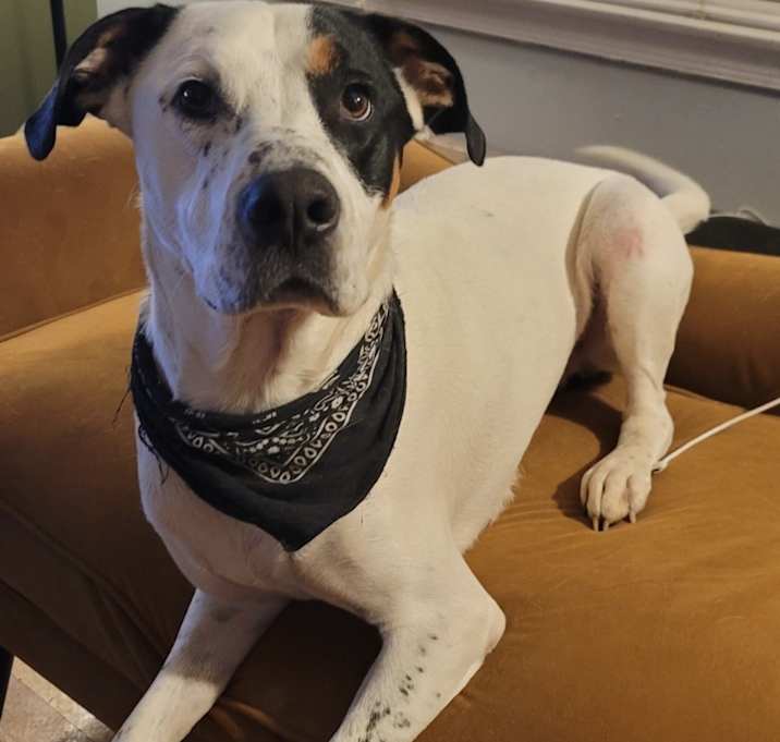 Photo of Geordi