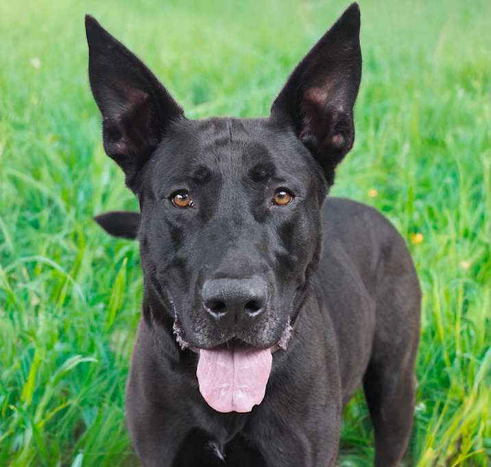 Photo of MARLEY