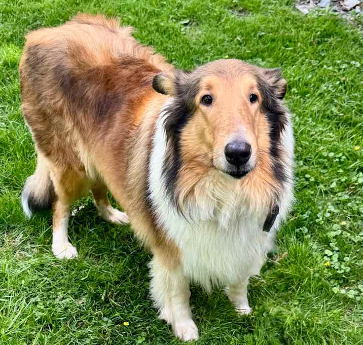 Photo of Carmel