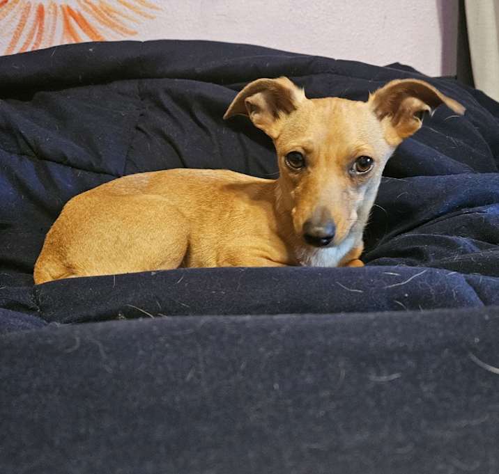 Photo of CHIQUITA