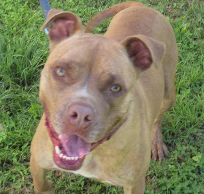 Photo of Stoney