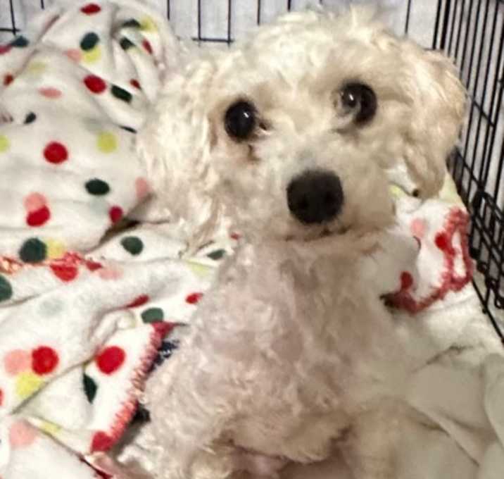 Photo of Winnie