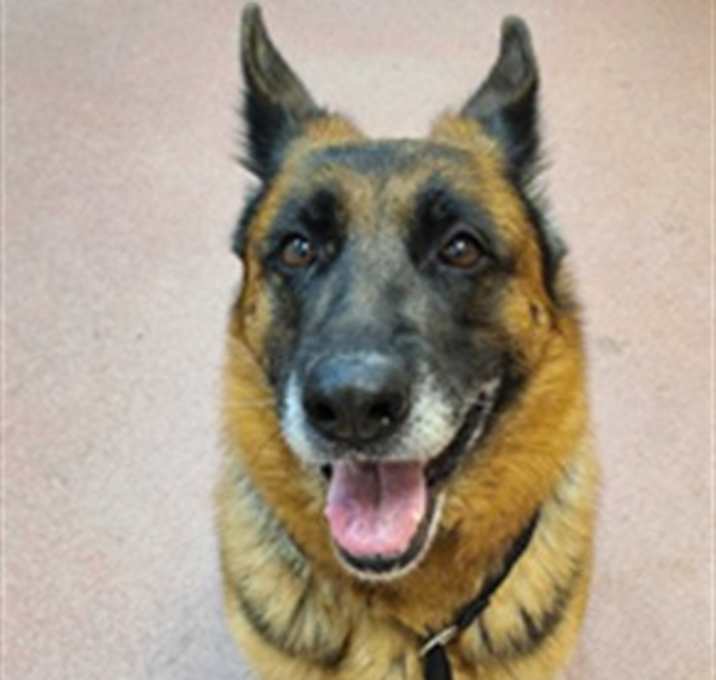 Photo of MAGS