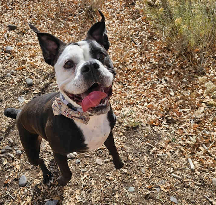 Photo of Nezzy