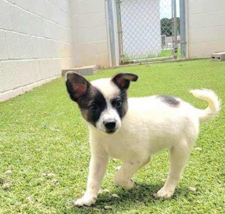Photo of Churro 2759