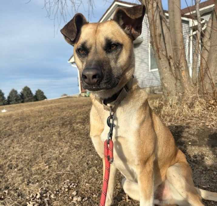 Photo of Jameson