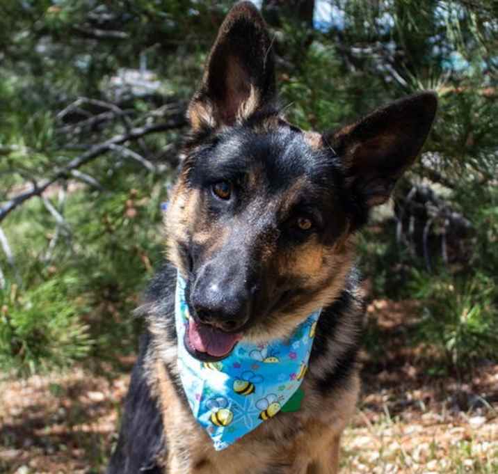 Photo of Koda Glover