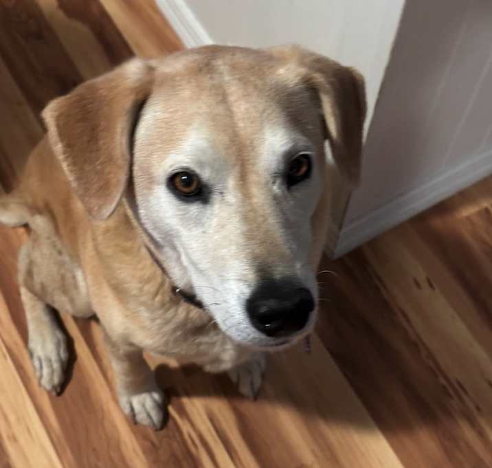 Photo of Ellie