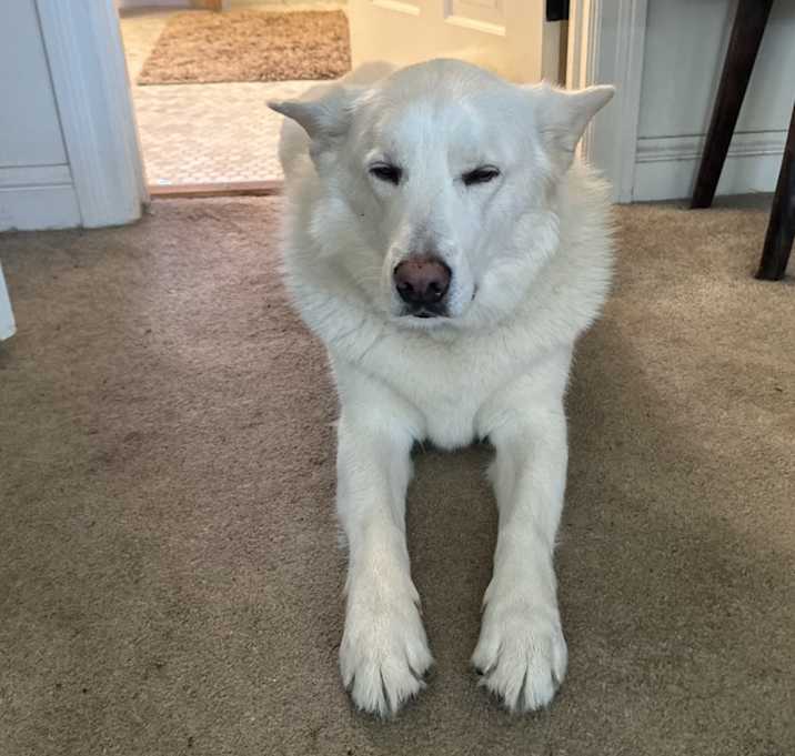 Photo of Byron