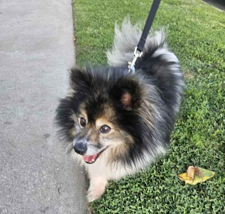 Photo of Lily