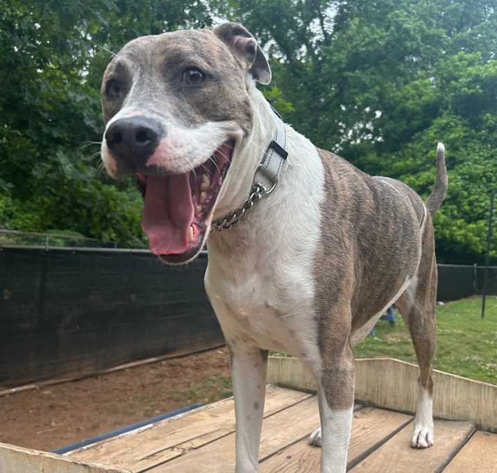 Photo of Aggie