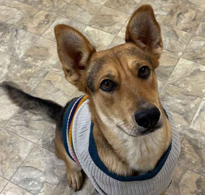 Photo of Ramona