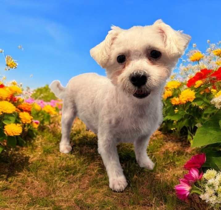 Photo of Lulu Sue