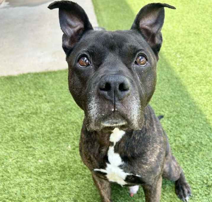 Photo of TITUS